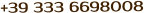 +39 333 6698008
